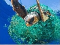 Der Verein Mare Nostrum - End Plastic Soup entstand durch die Initiative einiger Rotarierinnen und Rotarier aus dem Raum Basel