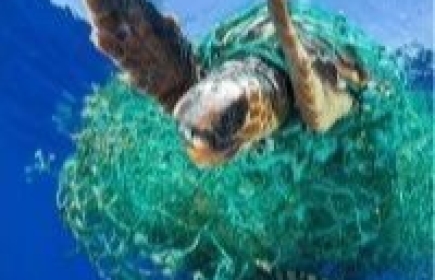 Der Verein Mare Nostrum - End Plastic Soup entstand durch die Initiative einiger Rotarierinnen und Rotarier aus dem Raum Basel